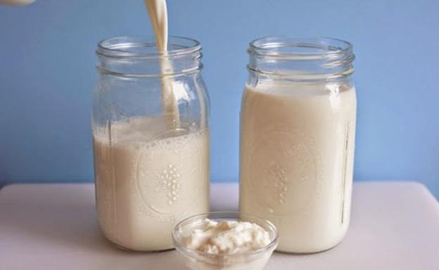 Como tomar kefir de vaca